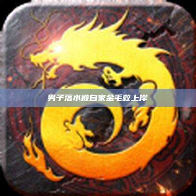 男子落水被自家金毛救上岸